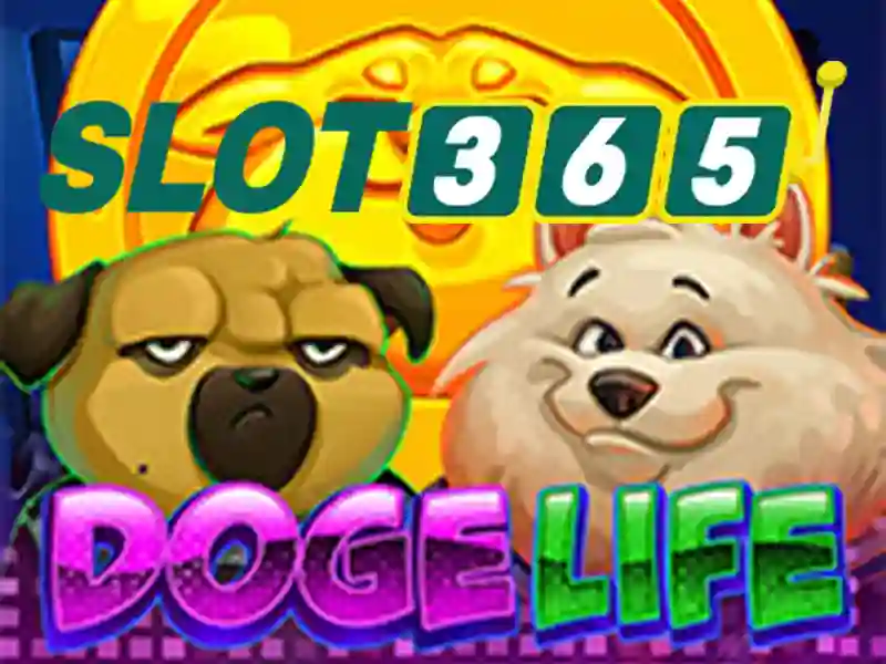 Slot365 – tổng quan nền tảng trò chơi slot trực tuyến