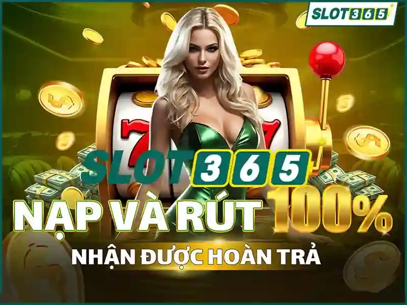 Slot365 - Tổng quan về nền tảng trò chơi slots và casino trực tuyến