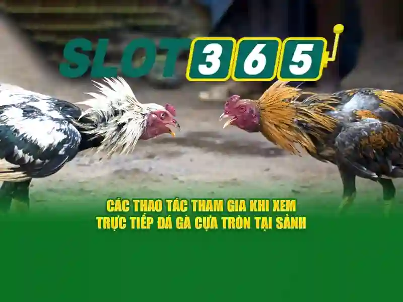 Slot365: Trải nghiệm xèng trực tuyến nổi bật tại Việt Nam