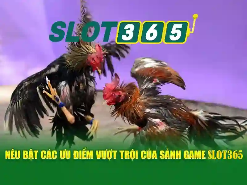 Giới thiệu về Slot365<li style=