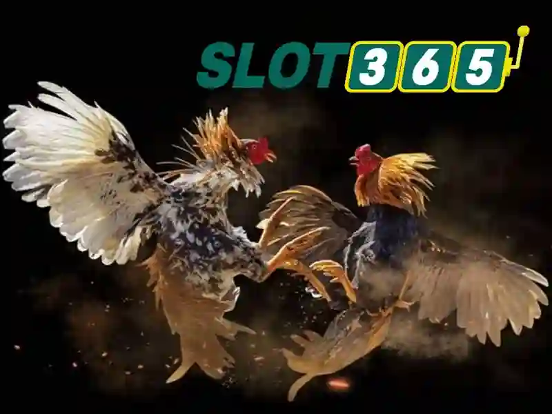 hoki slot365 – Giới thiệu đầy cảm hứng