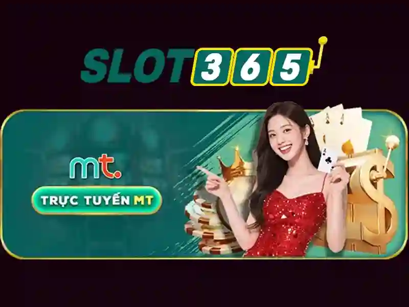 Trải nghiệm người dùng và hỗ trợ