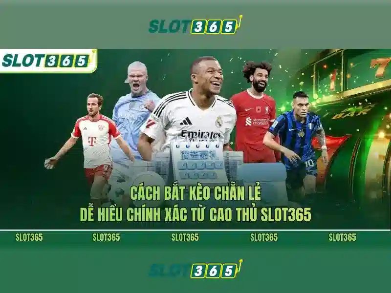 Slot365 - Tổng quan về nền tảng trò chơi slots và casino trực tuyến
