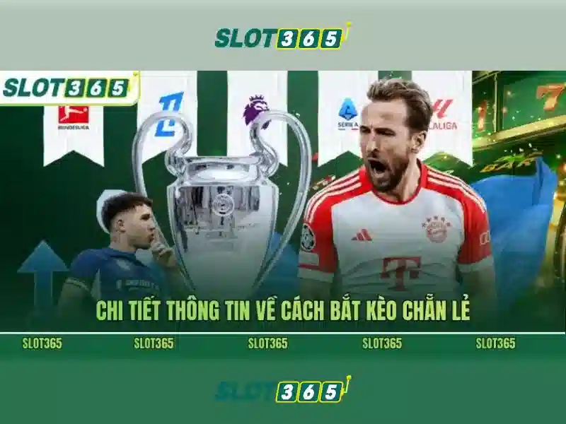 Slot365 là gì và lợi ích của nền tảng