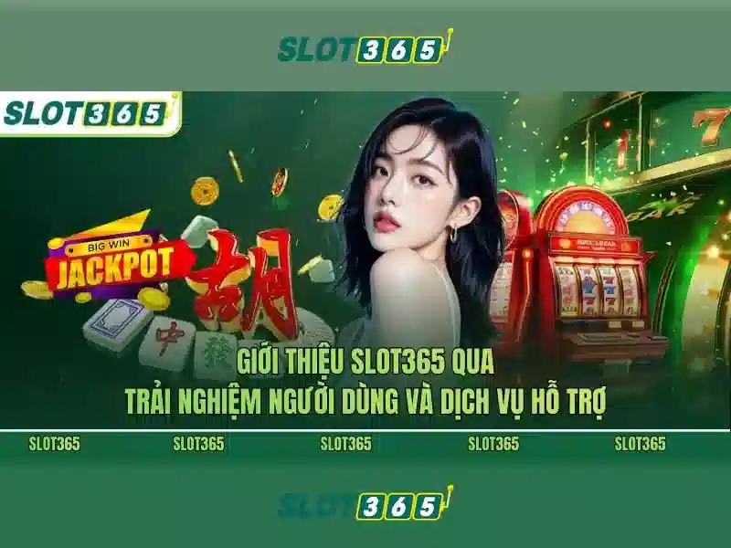 Hỗ trợ khách hàng và quản lý tài khoản
