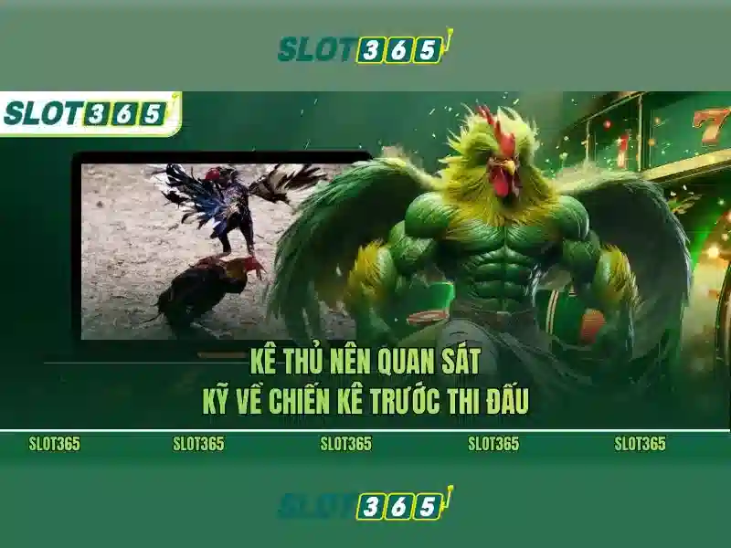 An toàn và thanh toán trên Slot365