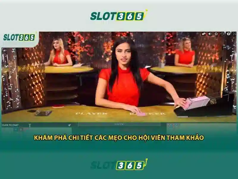 Slot365: Trải nghiệm các trò chơi quay số và casino trực tuyến