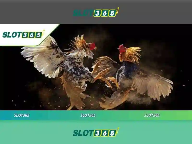 Slot365: tổng quan về nền tảng trò chơi xèng trực tuyến