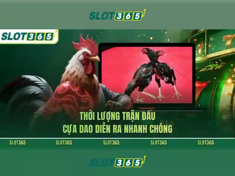 An toàn và bảo mật khi chơi Slot365
