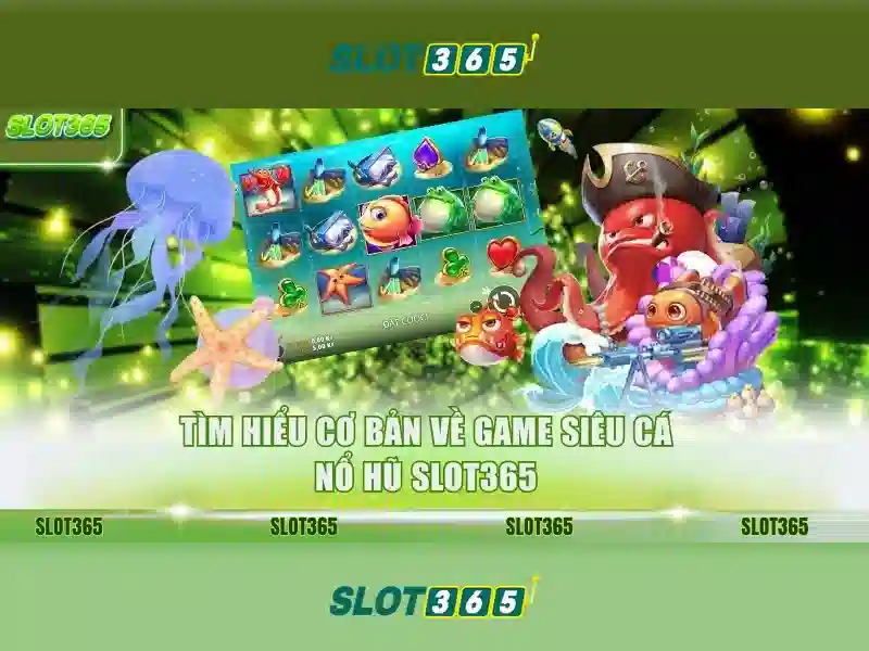 Slot365 - Đánh giá nền tảng máy đánh bạc trực tuyến