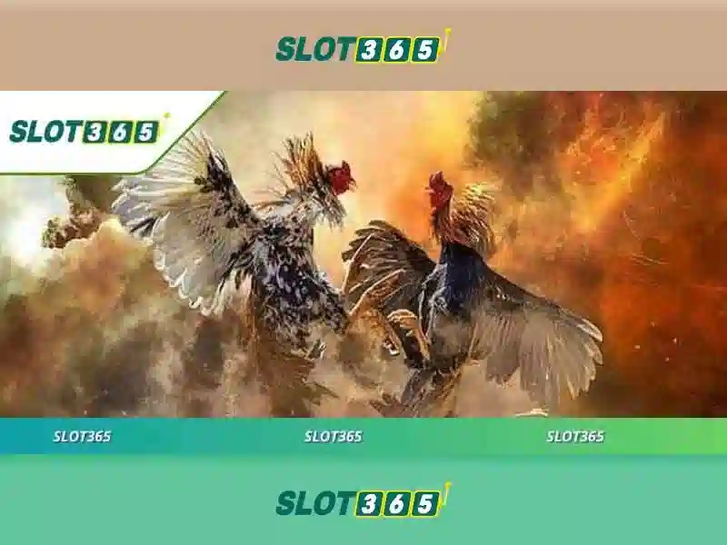 Slot365 - Nền tảng slot trực tuyến hàng đầu