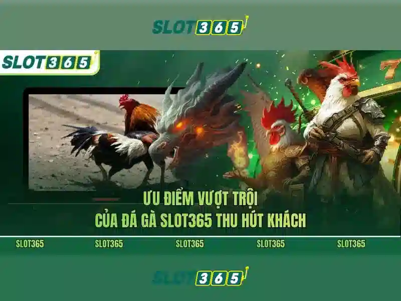 An toàn và thanh toán