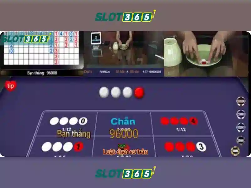 Trò chơi và nhà cung cấp