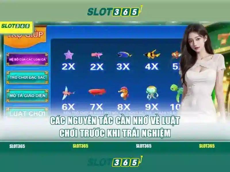 Giới thiệu về Slot365