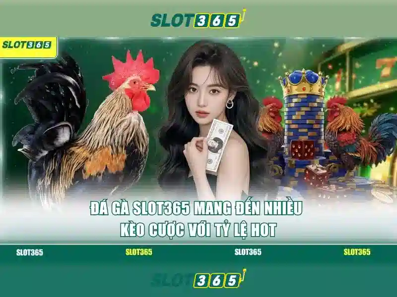 Slot365 - Trải nghiệm slot trực tuyến đáng tin cậy