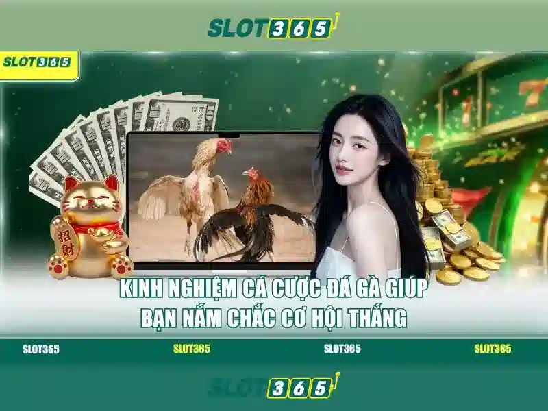 Slot365: Đánh giá và hướng dẫn chơi máy đánh bạc trực tuyến