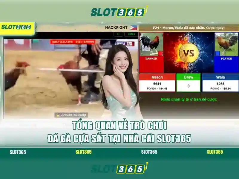 Slot365: Trải nghiệm slot trực tuyến tại Việt Nam
