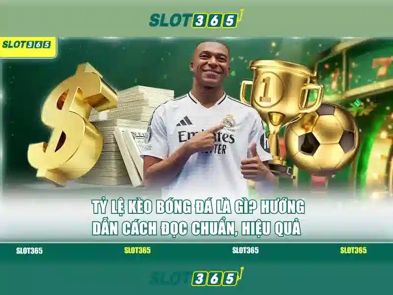 slot365 có uy tín không – Đánh giá thương hiệu Slot365