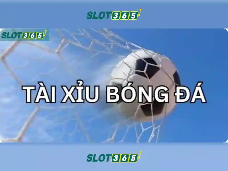 Khuyến mãi và ưu đãi
