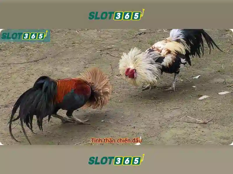 Nguồn gốc và sứ mệnh của link Slot365<h2><b>Sản phẩm và dịch vụ cốt lõi của link Slot365</b></h2><li style=