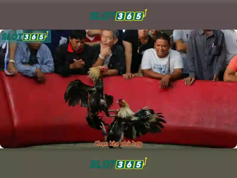 Slot365: Khám phá sòng xèng trực tuyến