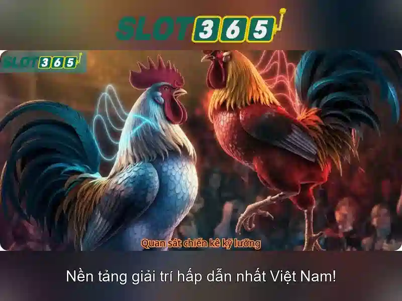 Slot365 - Trải nghiệm casino trực tuyến đáng tin cậy