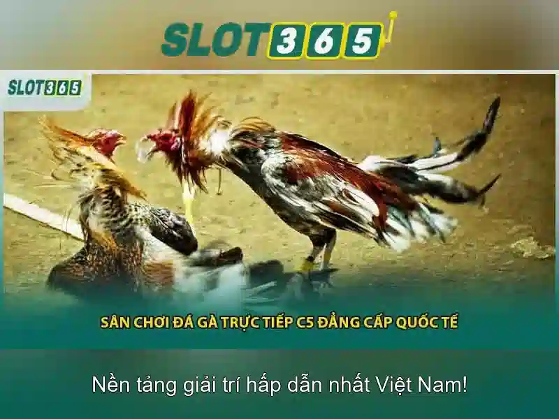 Slot365 là gì<li style=