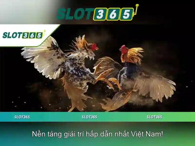 An toàn và bảo mật