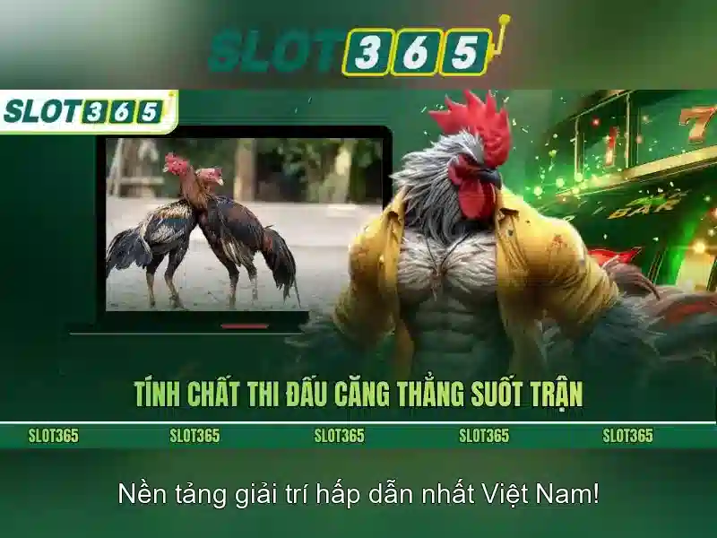 slot365 win – Trải nghiệm và đánh giá tổng quan