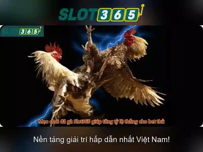 Slot365: Đánh giá nền tảng casino trực tuyến