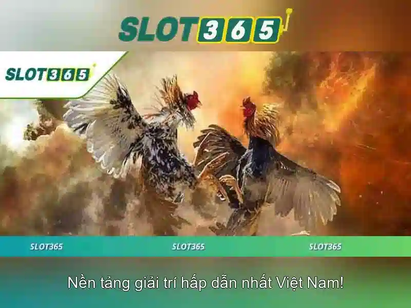 Slot365: Tổng quan và trải nghiệm người chơi