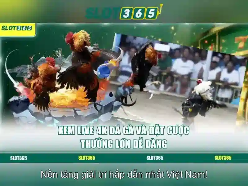 Slot365: Nền tảng slot trực tuyến uy tín và hấp dẫn