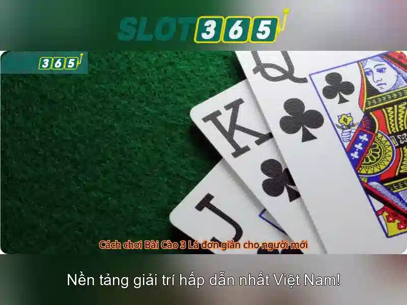 Chính sách an toàn và thanh toán
