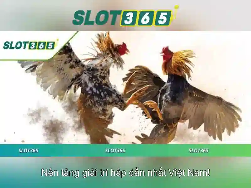 slot365 win – Trải nghiệm và đánh giá tổng quan