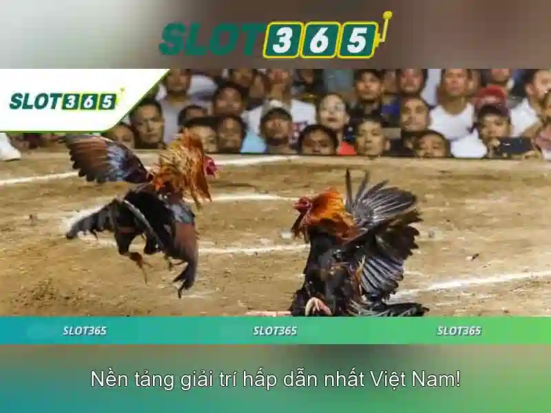 Slot365 – Nền tảng casino trực tuyến an toàn và tiện ích <!-->