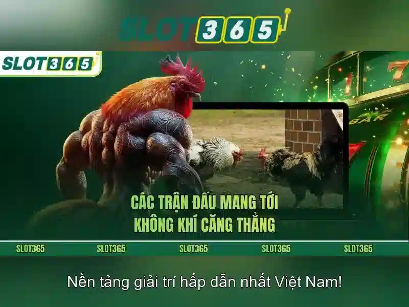 Slot365: Đánh giá và trải nghiệm casino trực tuyến