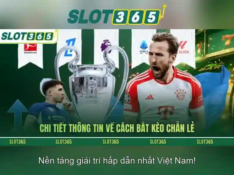 Khuyến mãi và thanh toán<h>Hỗ trợ khách hàng và tham gia</h><li style=