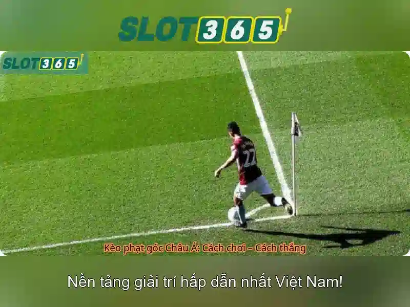 Kết luận và liên hệ