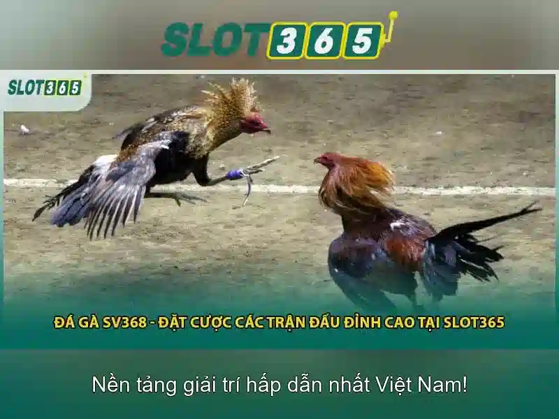 Slot365: Đánh giá và trải nghiệm casino trực tuyến