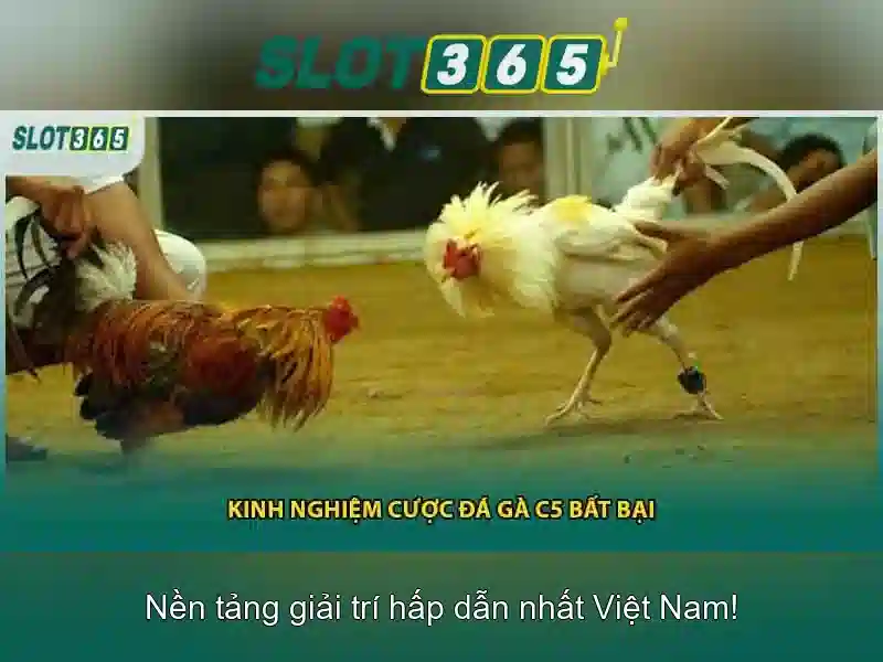Slot365: Nền tảng slot trực tuyến đáng tin cậy cho người chơi Việt