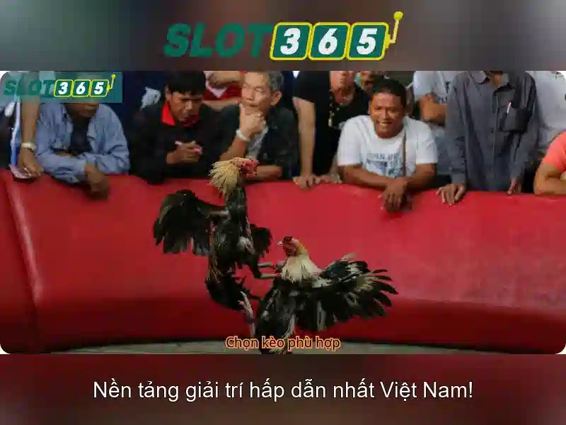 slot365 có lừa đảo không – tổng quan chủ đề và giá trị cốt lõi