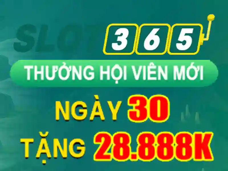 Khuyến mãi và thanh toán\n<h>Kết luận</h>\n<li style=