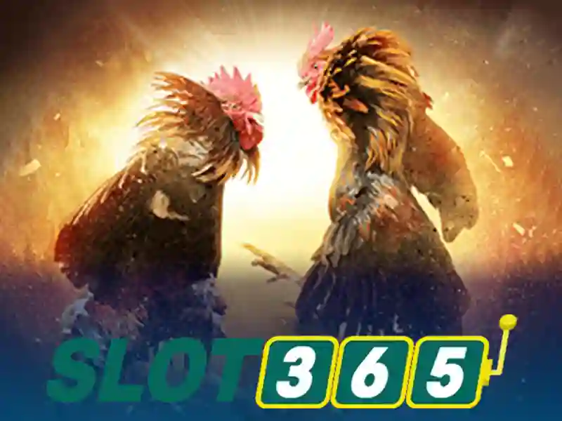 Trò chơi và tính năng của Slot365