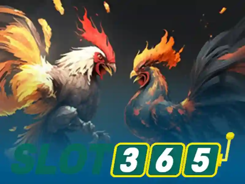 Slot365: Nền tảng casino trực tuyến với hàng nghìn trò chơi slot