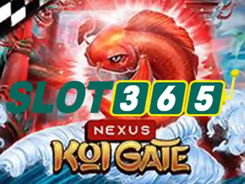 Tại sao người chơi chọn Slot365