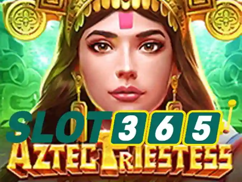 Sản phẩm và Dịch vụ cốt lõi của slot365 login link